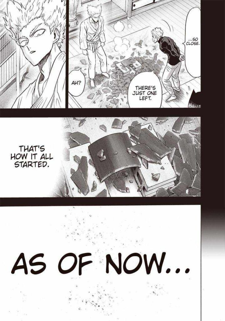 one punch man manga (16)